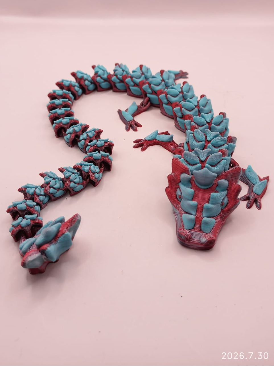 Blue and Pink Dragon