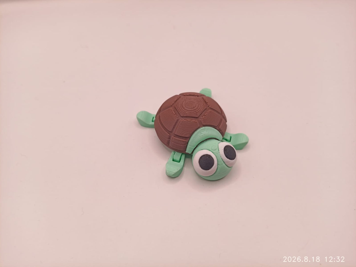 Small Sea Turtle
