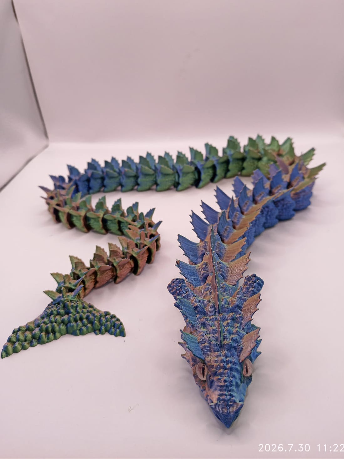 Multi-coloured Dragon