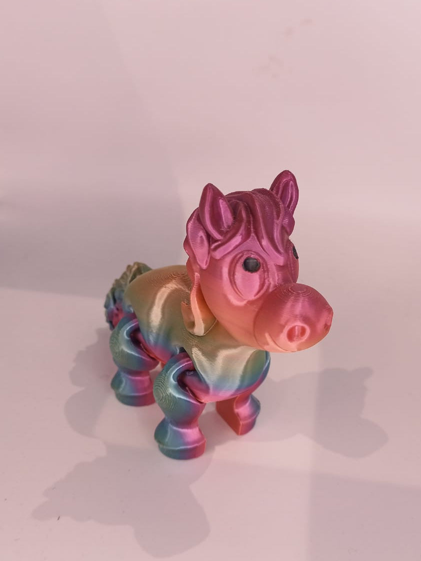 Multi-Coloured Pony