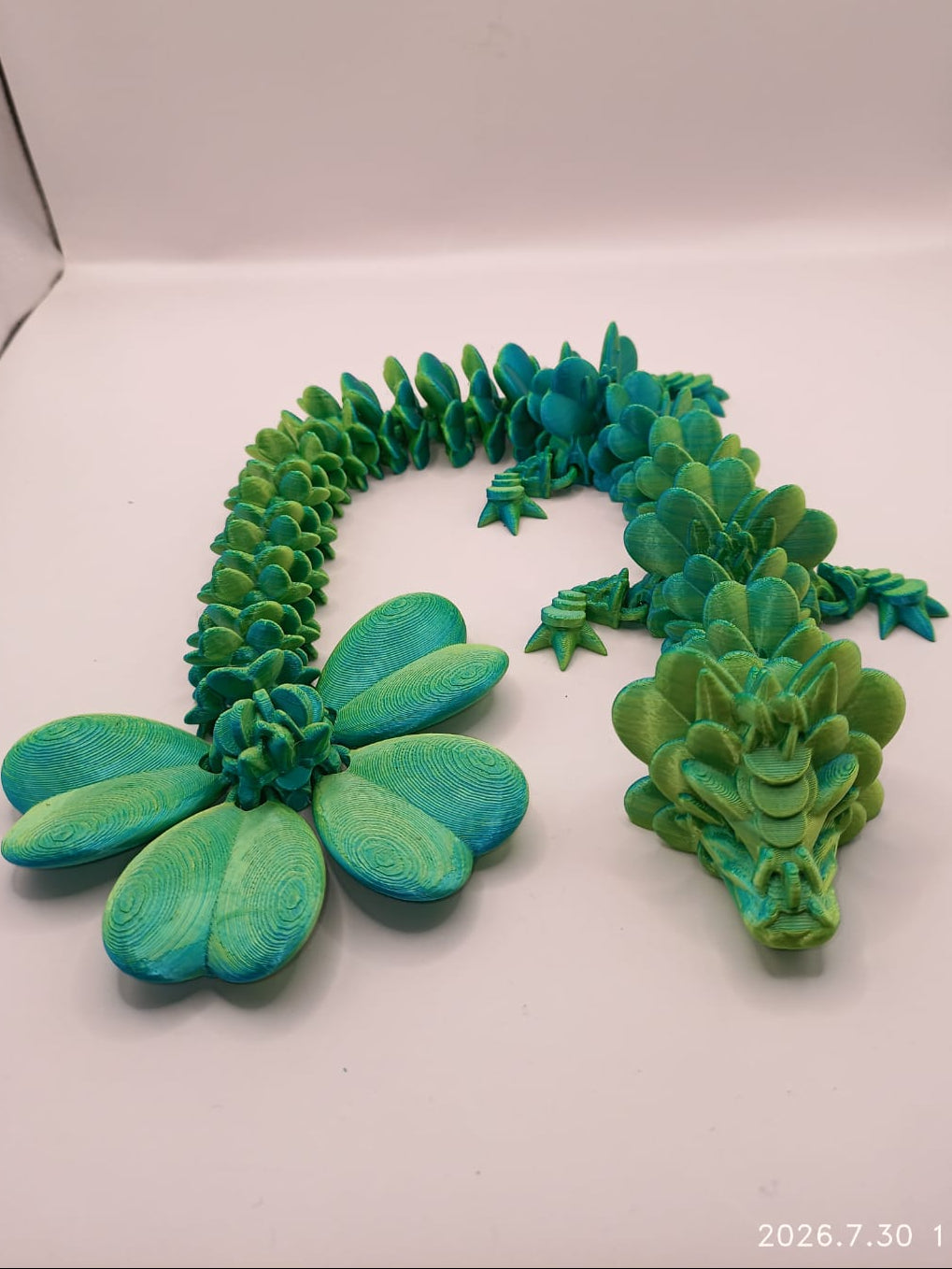 Green and Blue Dragon