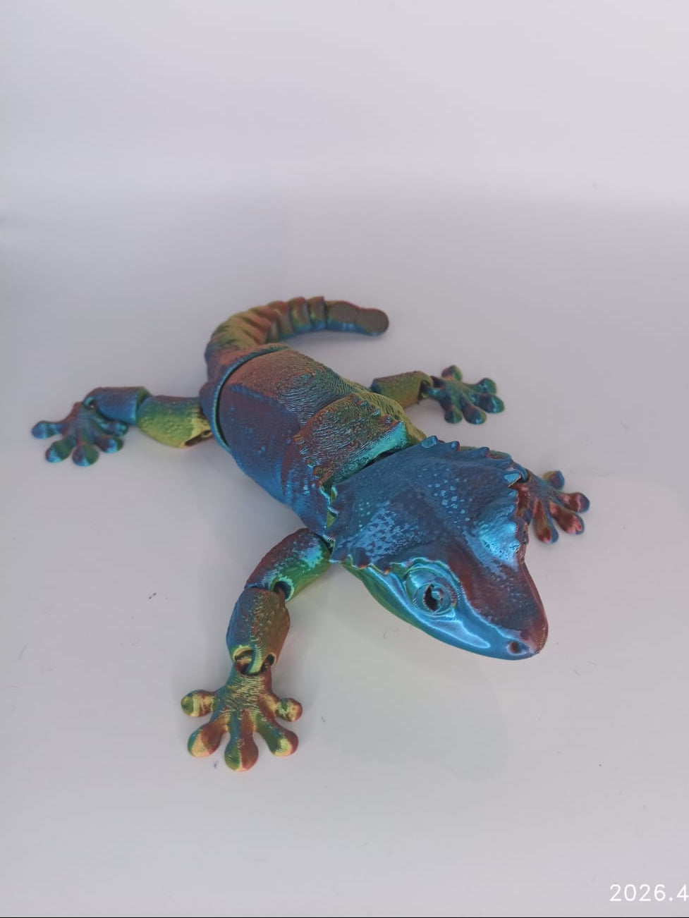 Muli-Coloured Lizard
